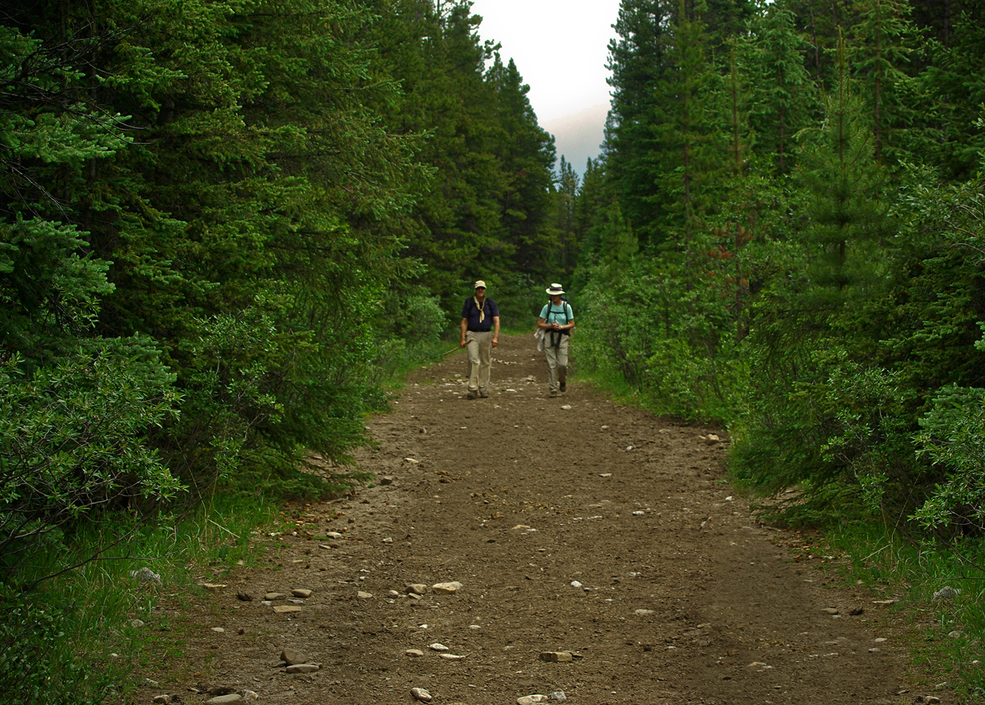 Willmore Wilderness Park, Rocky Mountains, Alberta, Canada